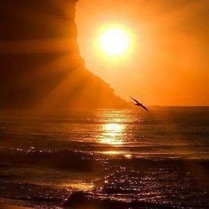 Meet your Posher, Valerie